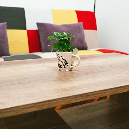 Cozy Apartment Брашов Экстерьер фото