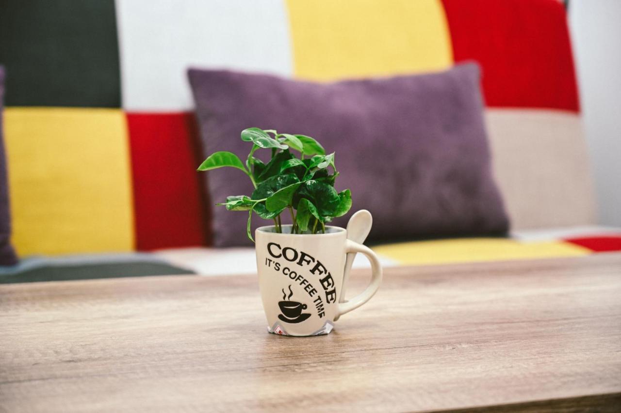 Cozy Apartment Брашов Экстерьер фото